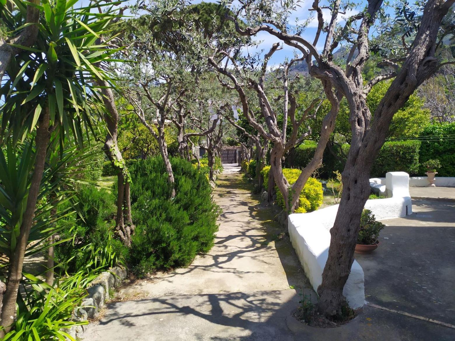 Villa Ravino Secret Retreat Forio  Bagian luar foto