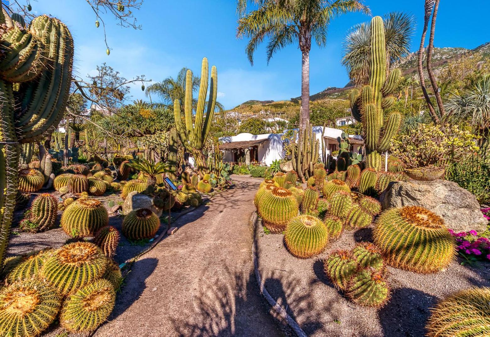 Villa Ravino Secret Retreat Forio  Bagian luar foto